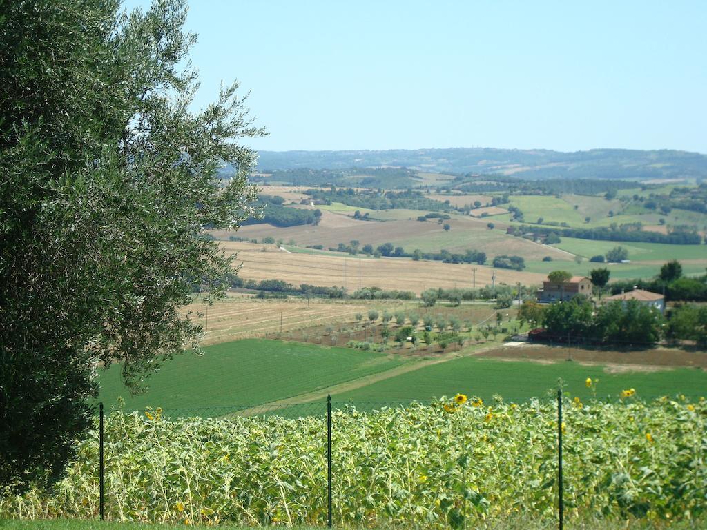 Podere Fontegallo Castiglione del Lago Zewnętrze zdjęcie
