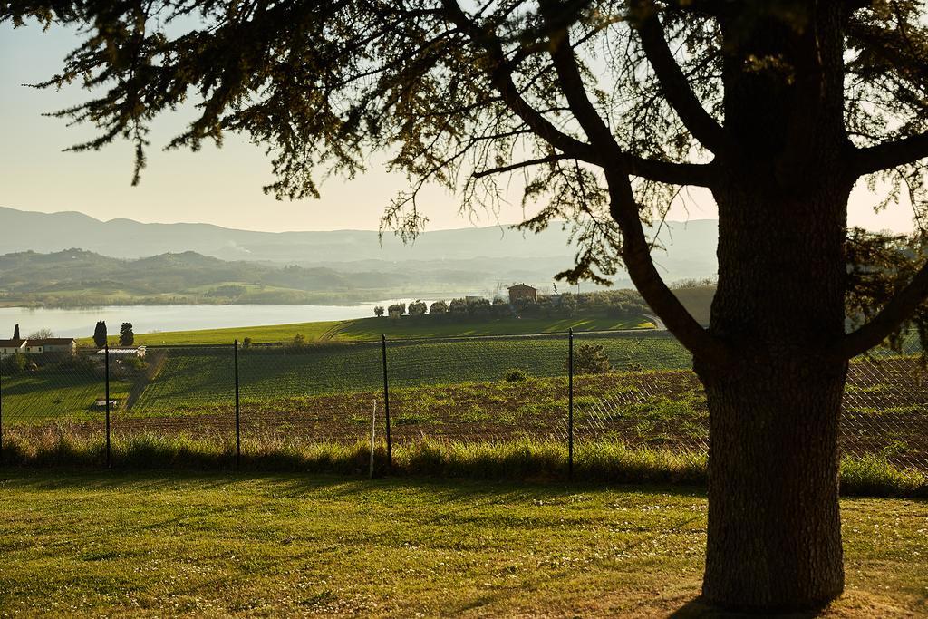 Podere Fontegallo Castiglione del Lago Zewnętrze zdjęcie