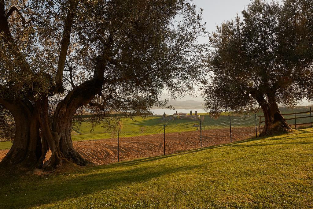 Podere Fontegallo Castiglione del Lago Zewnętrze zdjęcie