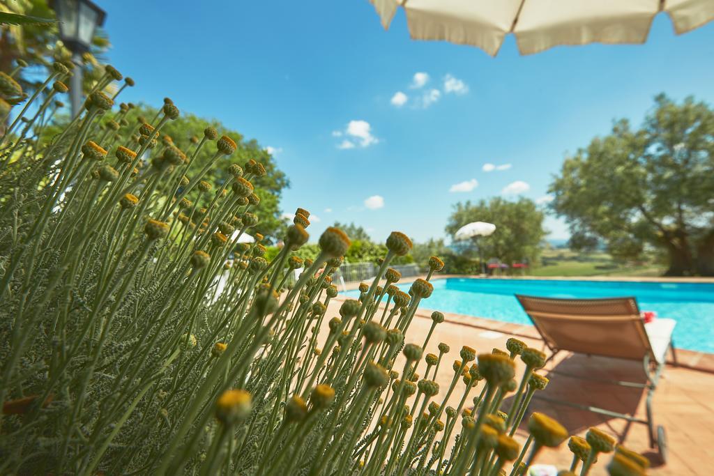 Podere Fontegallo Castiglione del Lago Zewnętrze zdjęcie