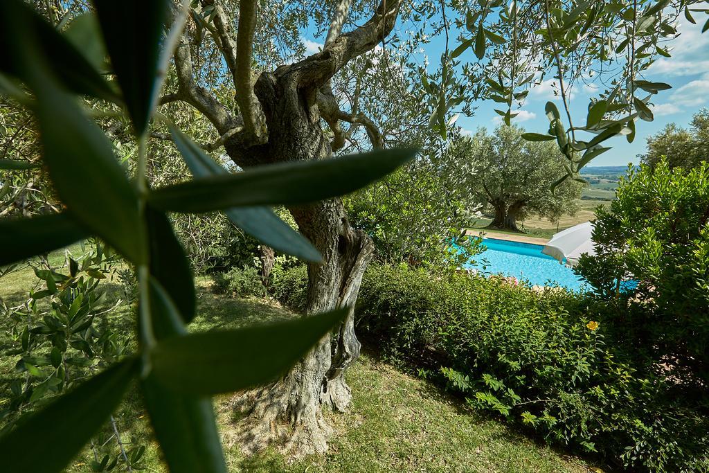 Podere Fontegallo Castiglione del Lago Zewnętrze zdjęcie