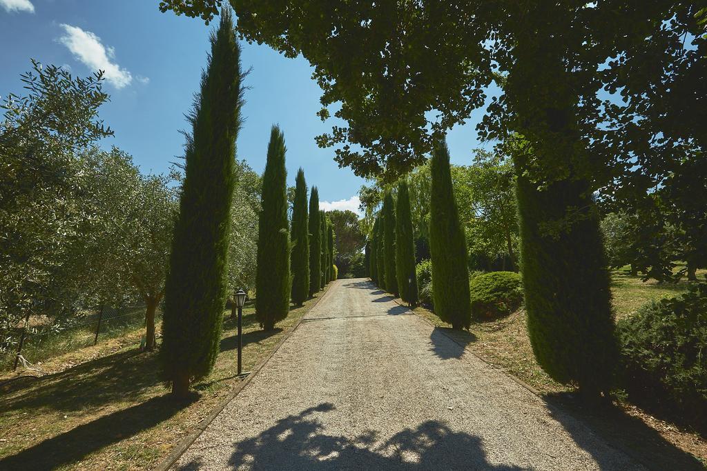 Podere Fontegallo Castiglione del Lago Zewnętrze zdjęcie